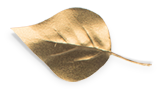 a little golden leaf